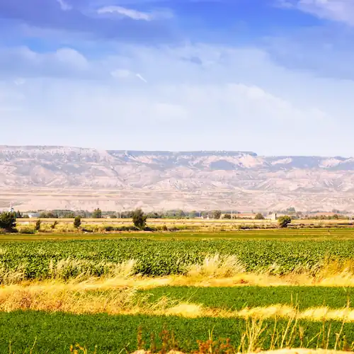 The State of American Agriculture 2026: Economics, Crops, and Key Trends