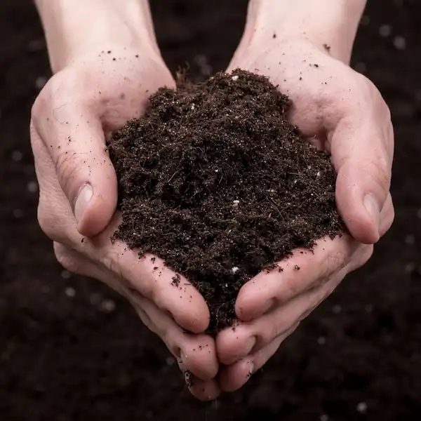 Buying Farmland in 2026: The Wealth Transfer & Crisis for Young Farmers